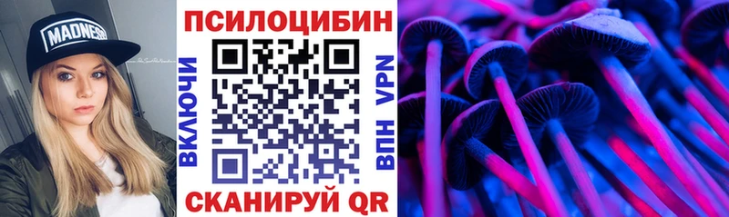 Псилоцибиновые грибы Cubensis  Купить закладки  Курган 
